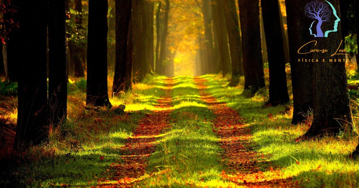 🌿 Cura-se: Um Caminho de Volta para Si Mesmo
