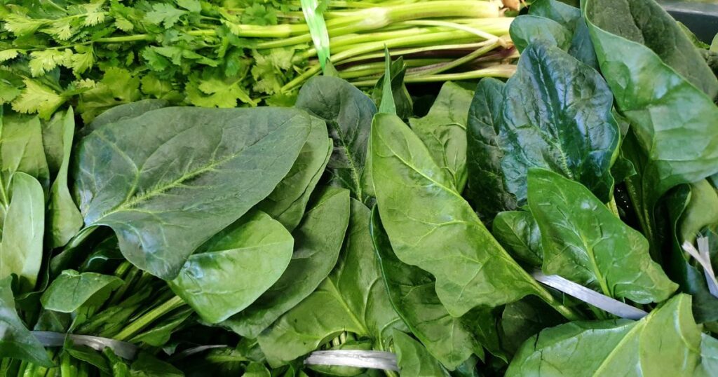 Verduras que Protegem no Frio